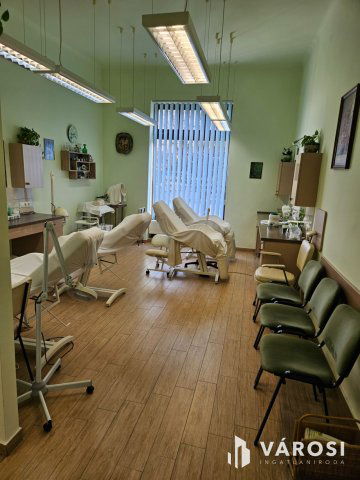 Eladó üzlethelyiség, Debrecenben 299 M Ft, 9 szobás