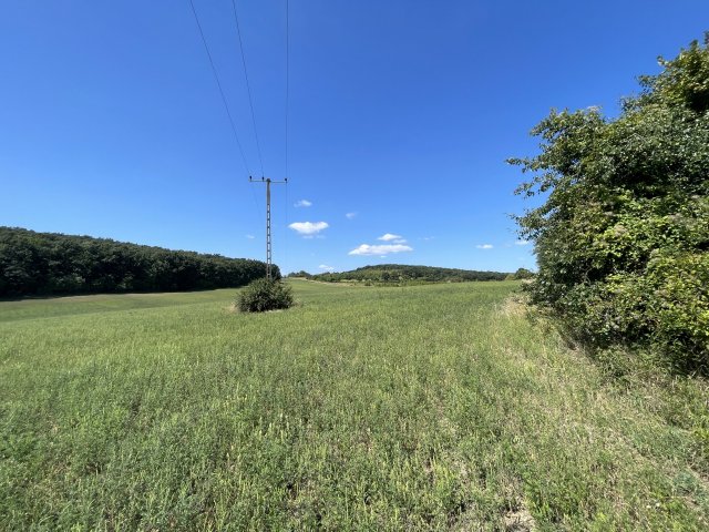 Eladó mezogazdasagi ingatlan, Dörgicsén 310 M Ft