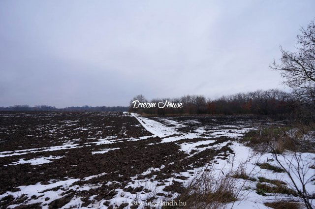 Eladó telek, Nyíregyházán 20.9 M Ft / költözzbe.hu