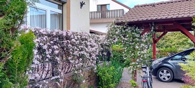 Eladó családi ház, Gödöllőn 169 M Ft, 5 szobás