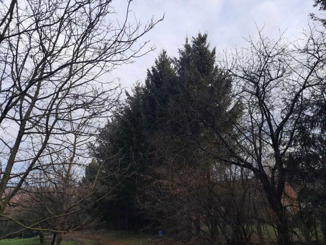 Eladó telek, Nagykanizsán 2.4 M Ft / költözzbe.hu