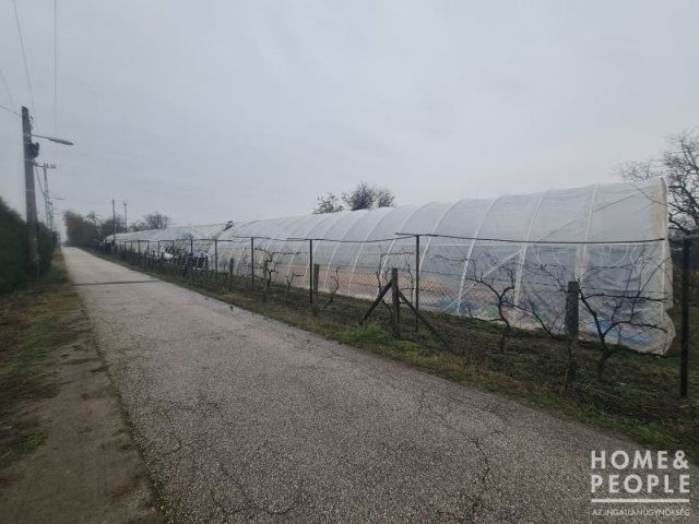 Eladó telek, Hódmezővásárhelyen 35 M Ft / költözzbe.hu