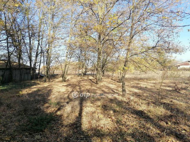 Eladó mezogazdasagi ingatlan, Kiskőrösön 15 M Ft