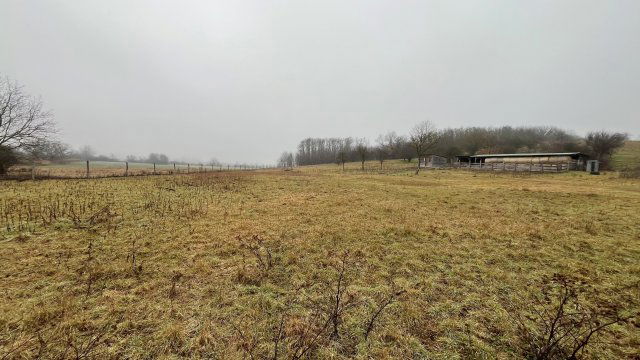 Eladó mezogazdasagi ingatlan, Vásárosmiskén 45 M Ft