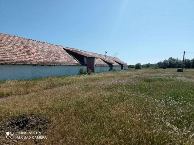 Kiadó mezogazdasagi ingatlan, Szentesen 150 E Ft / hó