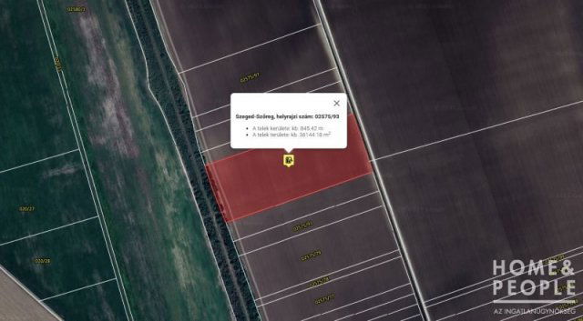 Eladó mezogazdasagi ingatlan, Szegeden 22 M Ft