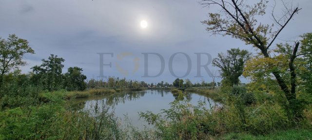 Eladó telek, Délegyházán 40.6 M Ft / költözzbe.hu