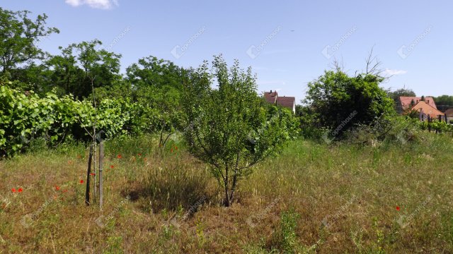 Eladó telek, Homokbödögén 4.5 M Ft / költözzbe.hu