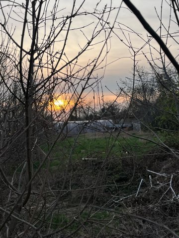 Eladó telek, Szentesen 11.5 M Ft / költözzbe.hu