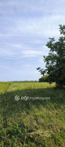 Eladó telek, Gyugyon 12.5 M Ft / költözzbe.hu