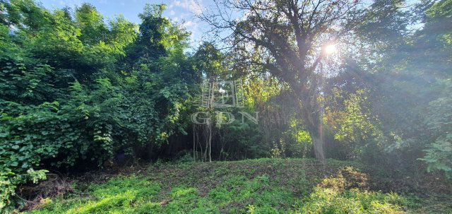 Eladó telek, Zalaegerszegen 24.9 M Ft / költözzbe.hu