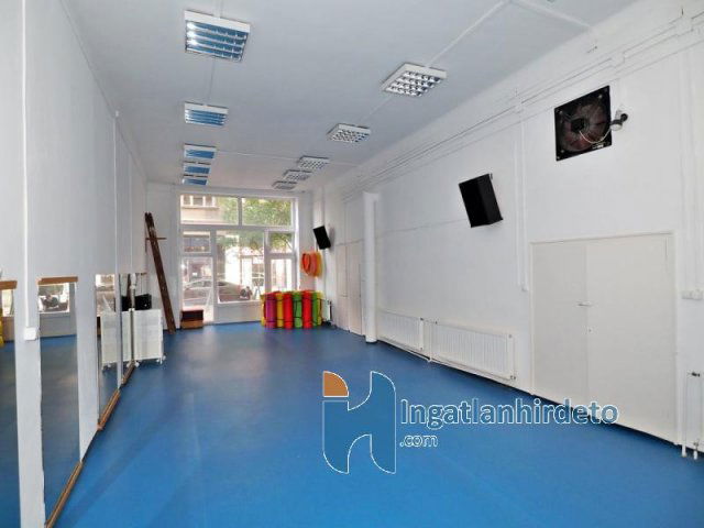 Eladó üzlethelyiség, Budapesten, V. kerületben 360 M Ft