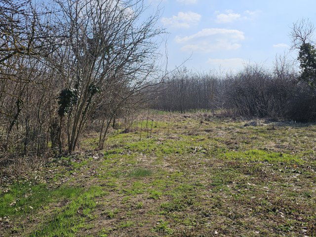 Eladó telek, Balatonszemesen 23.8 M Ft / költözzbe.hu