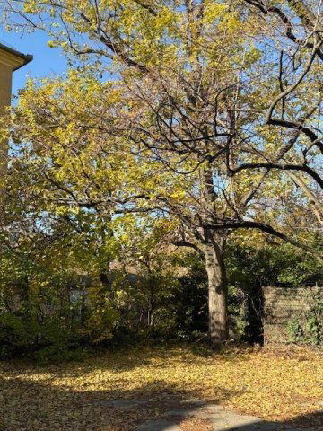 Eladó téglalakás, Budapesten, II. kerületben 159 M Ft, 3 szobás