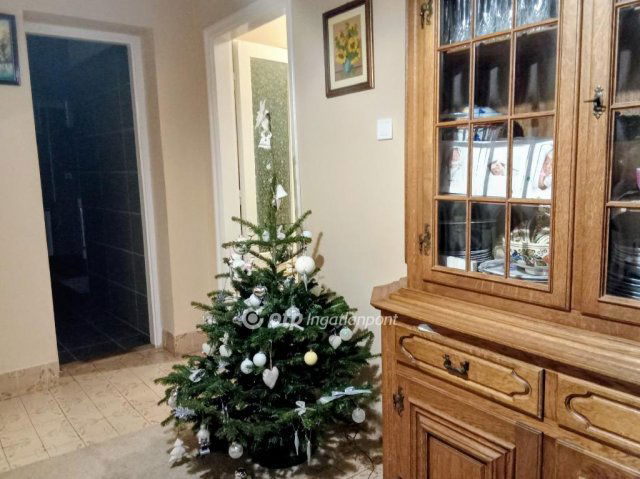 Eladó családi ház, Fehérgyarmaton 45 M Ft, 1+2 szobás