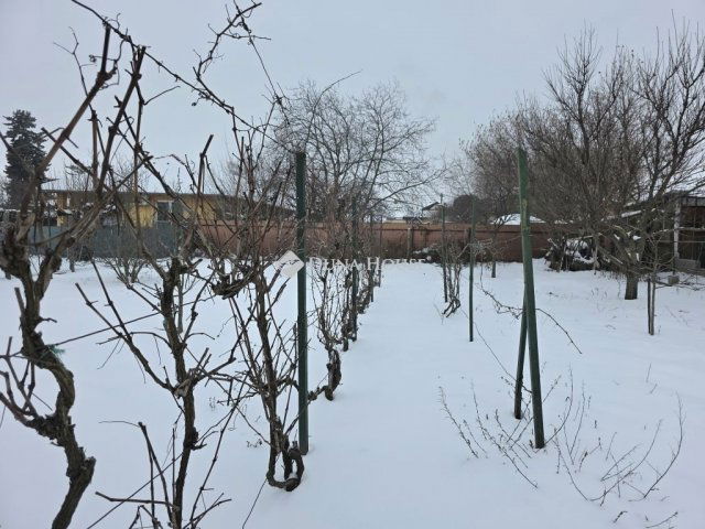 Eladó családi ház, Gyömrőn 129 M Ft, 7 szobás