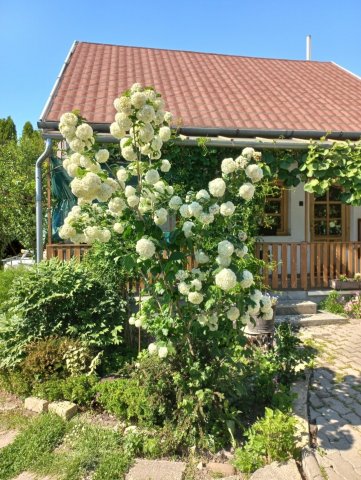 Eladó családi ház, Hévízen 89.9 M Ft, 6 szobás