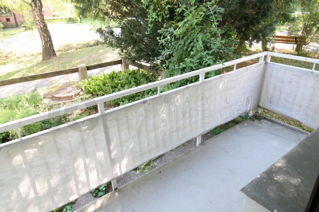 Kiadó téglalakás, albérlet, Szegeden, Hargitai utcában