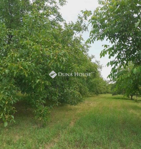 Eladó telek, Ádándon 8.5 M Ft / költözzbe.hu