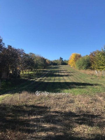 Eladó telek, Pázmándon 25 M Ft / költözzbe.hu