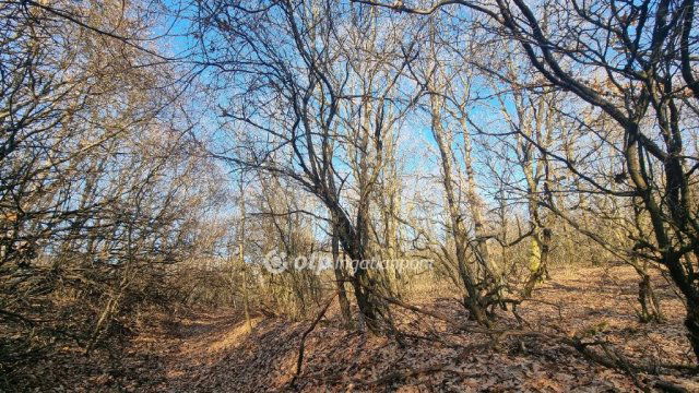 Eladó mezogazdasagi ingatlan, Pilisborosjenőn 12.99 M Ft