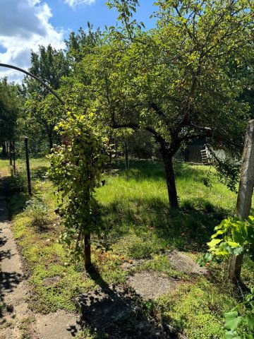 Eladó családi ház, Tatabányán 44.9 M Ft, 3 szobás