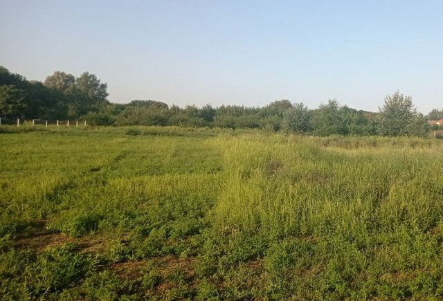 Eladó telek, Hernádon 48 M Ft / költözzbe.hu