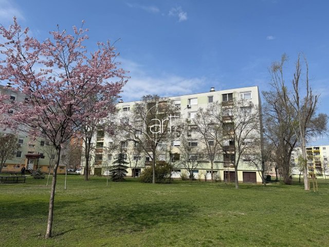 Eladó panellakás, Szegeden 40 M Ft, 2 szobás