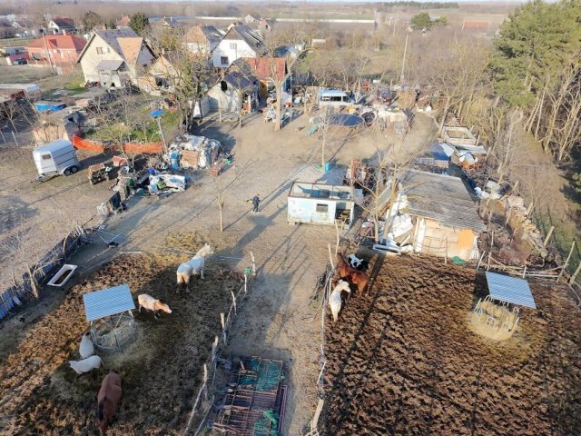 Eladó telek, Délegyházán 64.99 M Ft / költözzbe.hu