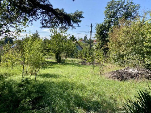 Eladó telek, Törökbálinton, Kéknefelejcs utcában 62 M Ft