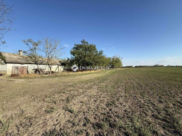 Eladó mezogazdasagi ingatlan, Orgoványon 79.9 M Ft, 3 szobás