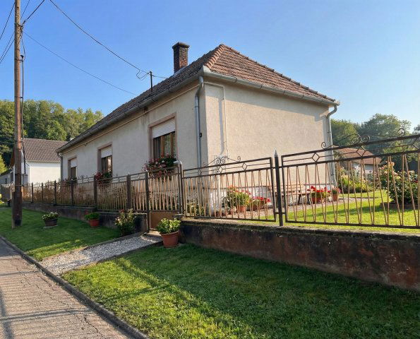 Eladó családi ház, Nemesapátiban 19.5 M Ft, 5 szobás