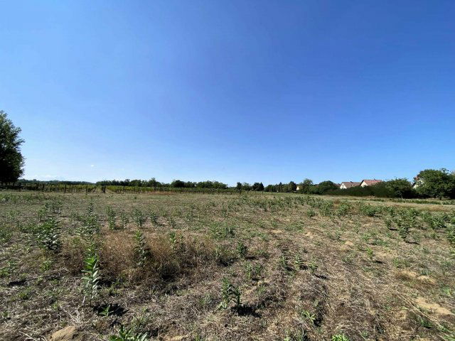 Eladó telek, Kiskunmajsán 119.9 M Ft / költözzbe.hu