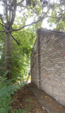 Eladó családi ház, Kecskeméten 25.5 M Ft, 1 szobás