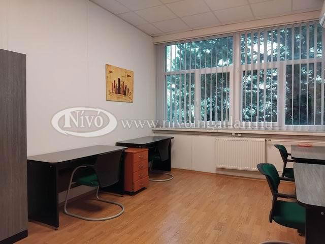 Kiadó iroda, Veszprémben 72 E Ft / hó, 1 szobás