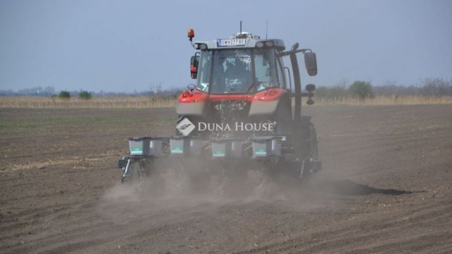 Eladó mezogazdasagi ingatlan, Helvécián, Gazdasági dűlőn