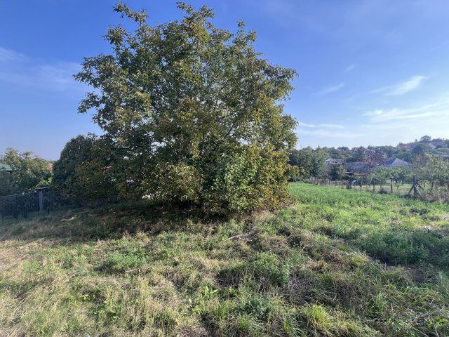 Eladó családi ház, Győrött 55 M Ft, 3 szobás