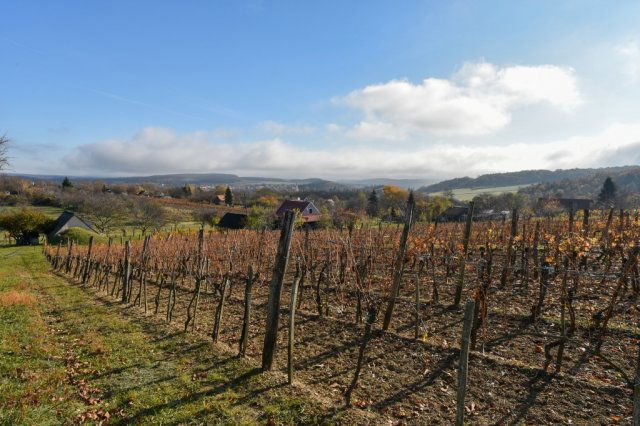 Eladó telek, Pécselyen 39.9 M Ft / költözzbe.hu