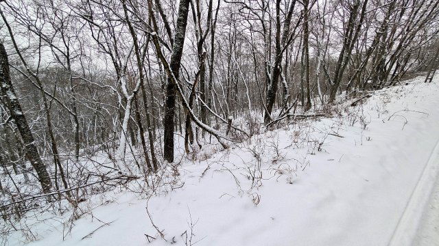 Eladó telek, Kismaroson 19.9 M Ft / költözzbe.hu