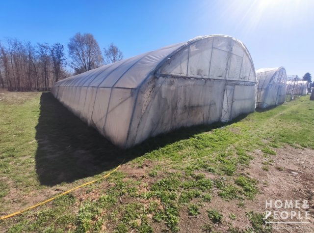 Eladó mezogazdasagi ingatlan, Szatymazon 20 M Ft