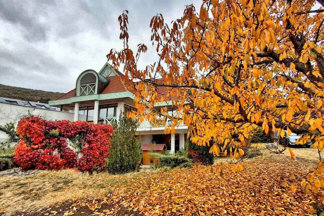 Eladó családi ház, Pécsett, Sziklás dűlőn 196 M Ft, 6 szobás