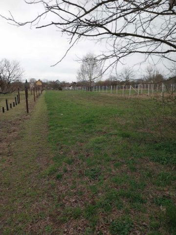 Eladó telek, Albertirsán 4.9 M Ft / költözzbe.hu