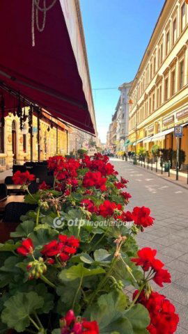 Eladó téglalakás, Budapesten, IX. kerületben 90 M Ft, 2 szobás