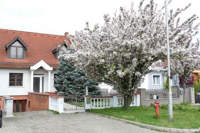 Eladó sorház, Szombathelyen 90 M Ft, 3+2 szobás