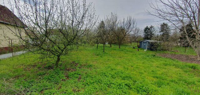 Eladó mezogazdasagi ingatlan, Békéscsabán 4.2 M Ft