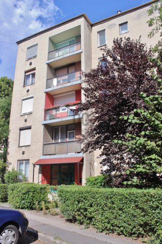 Kiadó téglalakás, albérlet, Budapesten, XX. kerületben