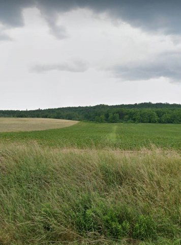 Eladó telek, Isaszegen, Ady Endre utcában 457.2 M Ft