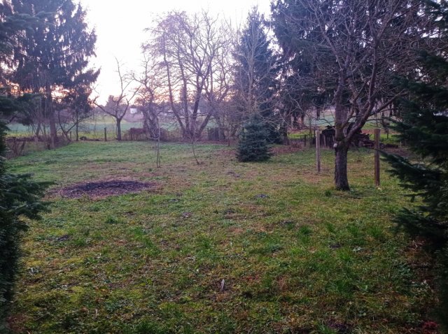 Eladó családi ház, Halastón 18 M Ft, 2 szobás