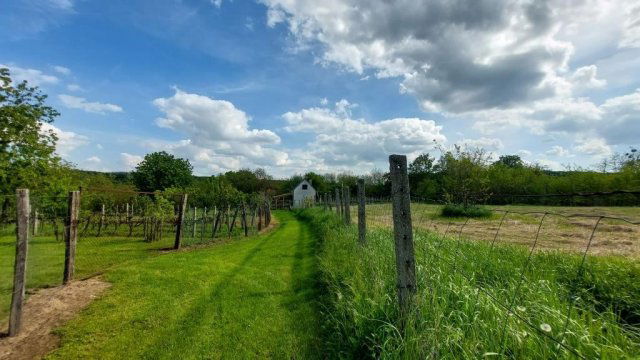 Eladó telek, Nagyberkin 2.5 M Ft, 1 szobás / költözzbe.hu