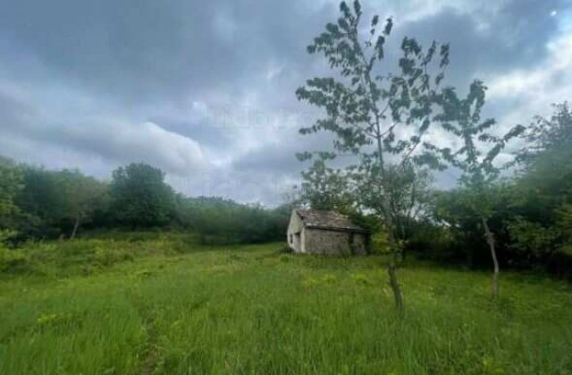 Eladó mezogazdasagi ingatlan, Tapolcán 16.5 M Ft